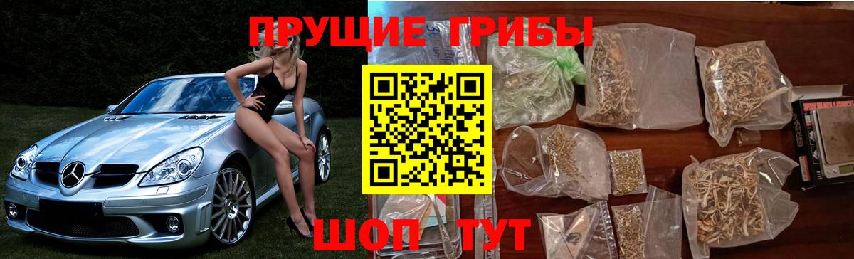 Псилоцибиновые грибы мицелий Брянск